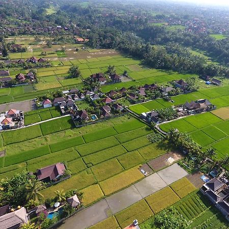 Pondok Penestanan Villa Ubud Экстерьер фото