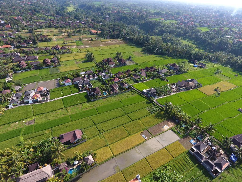 Pondok Penestanan Villa Ubud Экстерьер фото